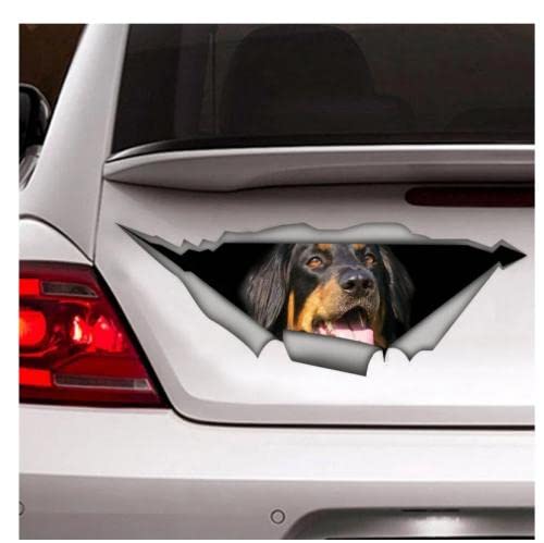 GAETOYEN Autoaufkleber Hund Personalisiert 30Cm Hovawart Aufkleber, Haustier-Auto-Aufkleber, Hund-Aufkleber, Autodekoration, Lustiger Aufkleber, 3D-Aufkleber Css1A13258 von GAETOYEN