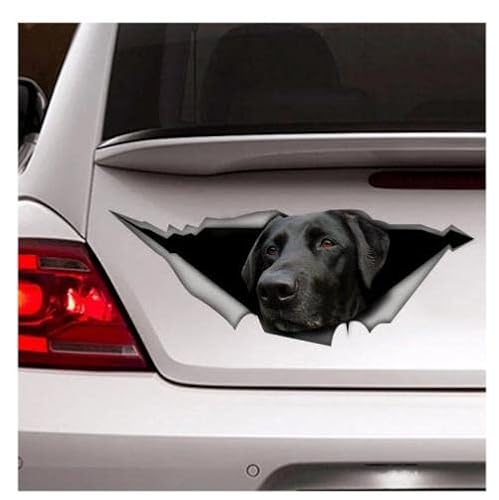 GAETOYEN Autoaufkleber Hund Personalisiert 30Cm Labrador Aufkleber, Pet Aufkleber Lab Aufkleber, Labrador Retriever Aufkleber, Vinyl-Aufkleber, Auto-Aufkleber, Hund-Aufkleber, Laptop-Aufklebe von GAETOYEN