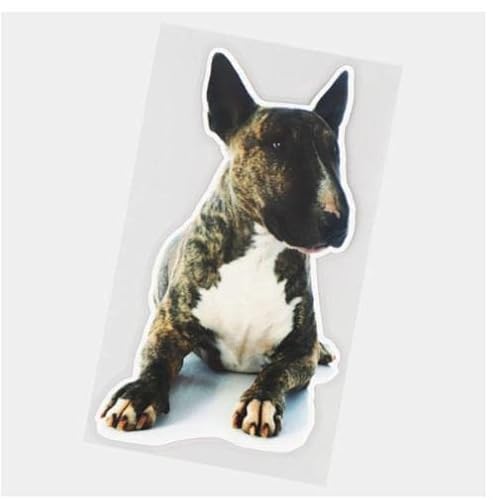 GAETOYEN Autoaufkleber Hund Personalisiert 9,3 × 16,8 cm Bullterrier Tier Hund Körper Dekoration Vinyl Aufkleber Lustige Autoaufkleber Css1A20837 von GAETOYEN