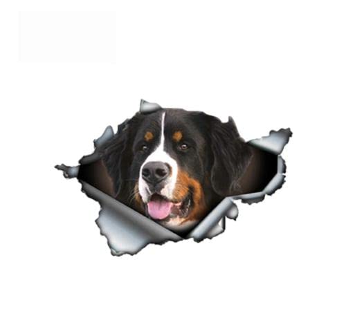 GAETOYEN Autoaufkleber Hund Personalisiert Berner Sennenhund Zerrissenes Metall Autoaufkleber Wasserdichter Aufkleber Laptop LKW Motorrad Auto Zubehör PVC,13Cmx8Cm Css1A12708 von GAETOYEN