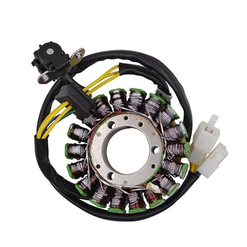 Motorrad Magneto Stator Coil Motorrad Qingqi Tibetan Mastiff QM200GY-B/GS200 GXT200 Motor Magneto Rotor Schwungrad Magnetische Zylinder Stator Spule von GANGEV