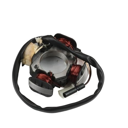 Motorrad Magneto Stator Coil Scooter-Zündstator Für TGB 101R 101S 203 303R F409 R50X 50cc Acros Tec 50cc 2-Takt AC 84mm von GANGEV