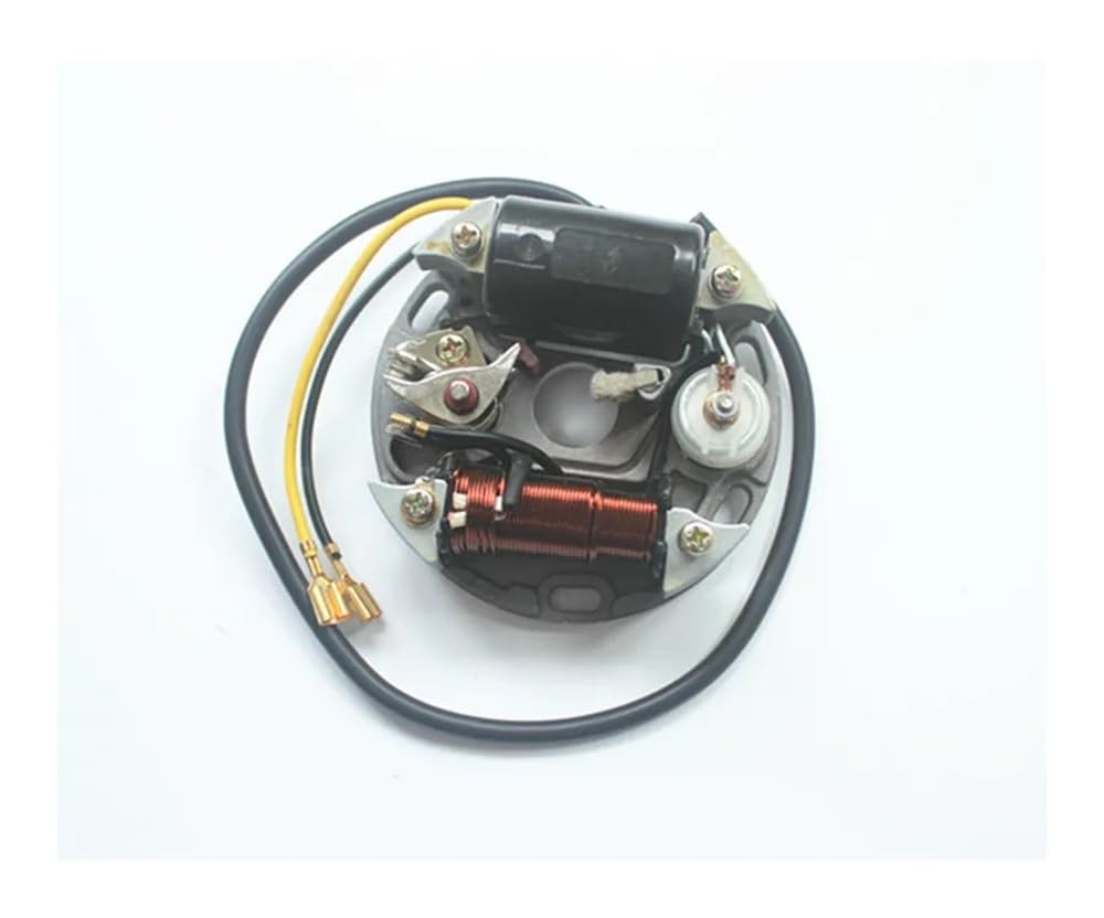 Motorrad Magneto Stator Coil Statorspule 6V 17W Zundapp Kreidler Hercules FÜR Zündung Lichtmaschine Puch Statorspule 17 W von GANGEV