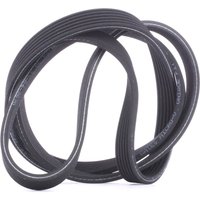 GATES Keilrippenriemen G-Force™ C12™ CVT Belt 6DPK1838 Rippenriemen VOLVO,V70 II (285),XC90 I (275),V40 Kombi (645),S60 I (384),V70 I (875, 876) von GATES