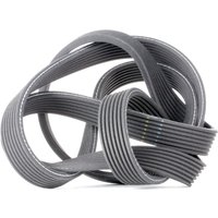 GATES Keilrippenriemen G-Force™ C12™ CVT Belt 7DPK1880 Rippenriemen BMW,5 Touring (F11),5 Limousine (F10),X5 (E70),7 (F01, F02, F03, F04),5 GT (F07) von GATES