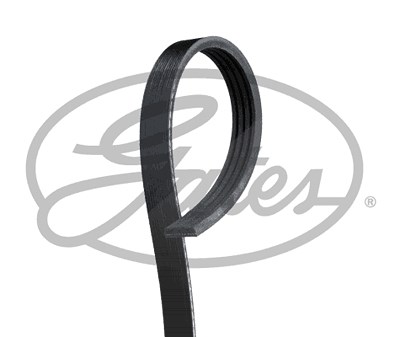 Gates Keilrippenriemen [Hersteller-Nr. 4PK711SF] für Ford von GATES