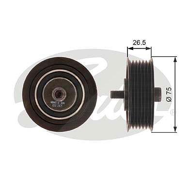 Gates Umlenk-/Führungsrolle, Keilrippenriemen [Hersteller-Nr. T36262] für Audi, Seat, Skoda, VW von GATES