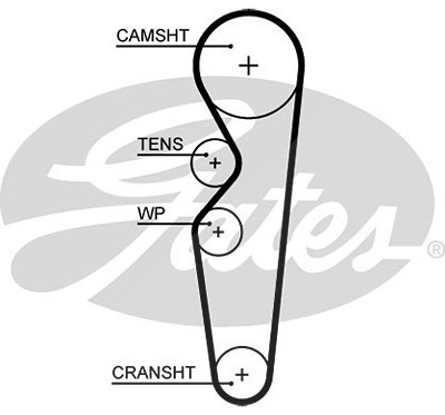 Gates Zahnriemen [Hersteller-Nr. 5665XS] von GATES
