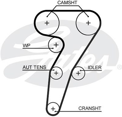 Gates Zahnriemen [Hersteller-Nr. 5653XS] für Alfa Romeo von GATES