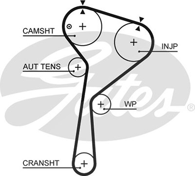 Gates Zahnriemen [Hersteller-Nr. 5675XS] für Dacia, Infiniti, Mercedes-Benz, Nissan, Renault von GATES