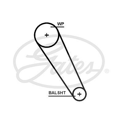 Gates Zahnriemen [Hersteller-Nr. 5698XS] für VW, Skoda, Seat, Audi von GATES