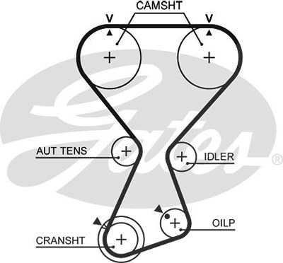 Gates Zahnriemen [Hersteller-Nr. T313] für Hyundai, Kia von GATES