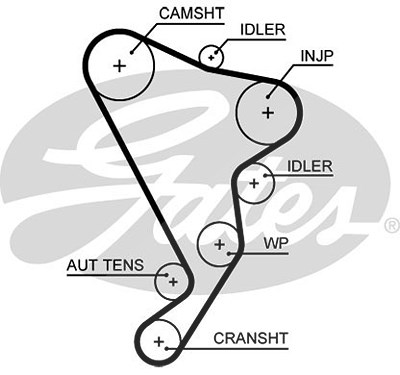 Gates Zahnriemen [Hersteller-Nr. 5661XS] für VW von GATES