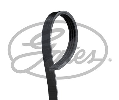 Gates Keilrippenriemen [Hersteller-Nr. 4PK705SF] für Ford von GATES