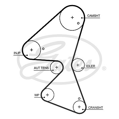 Gates Zahnriemen [Hersteller-Nr. 5705XS] für Citroën, Ds, Ford, Opel, Peugeot, Toyota, Vauxhall von GATES