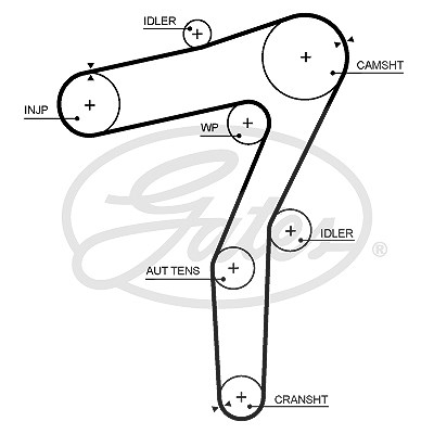 Gates Zahnriemen [Hersteller-Nr. 5706XS] für Alfa Romeo von GATES