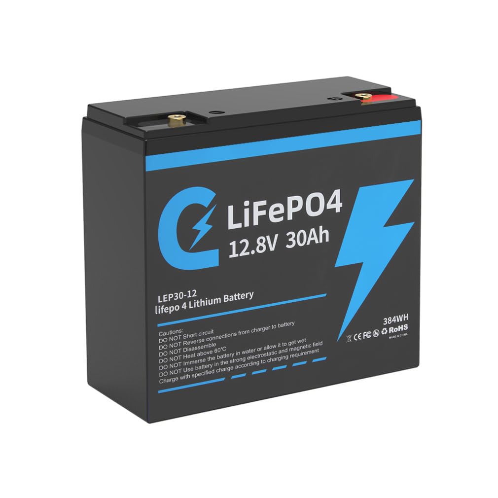 LiFePO4 12 V 30 Ah Batterie Akku, wiederaufladbare Lithium Ionen Phosphat Deep Cycle Batterie, BMS Schutz, Lange Lebensdauer, wartungsfrei, geeignet für Golfwagen, Motorroller, Elektrorollstühle von GAWENTINY