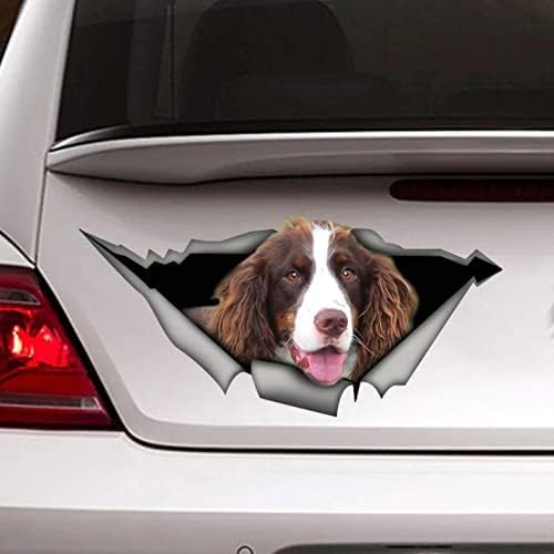 2pcs Braune Und Weiße Hundauto -Aufkleber, Hundewagen -Aufkleber Laptop Koffer Truck Accessoires Auto Aufkleber Aufkleber Aufkleber Aufkleber Aufkleber Aufkleber Aufkleber Aufkleber Auto -Aufkleber von GENMIP