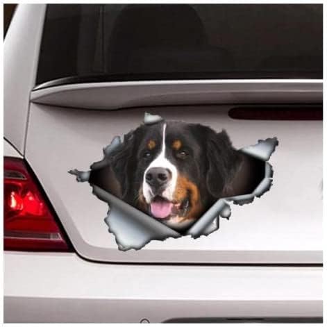 GENMIP 2-teilig Autoaufkleber 22 cm (8,6 Zoll) Berner Sennenhund Autoaufkleber, Berner Sennenhund Magnet, Berner Sennenhund Aufkleber (Hg1Fs13504) von GENMIP