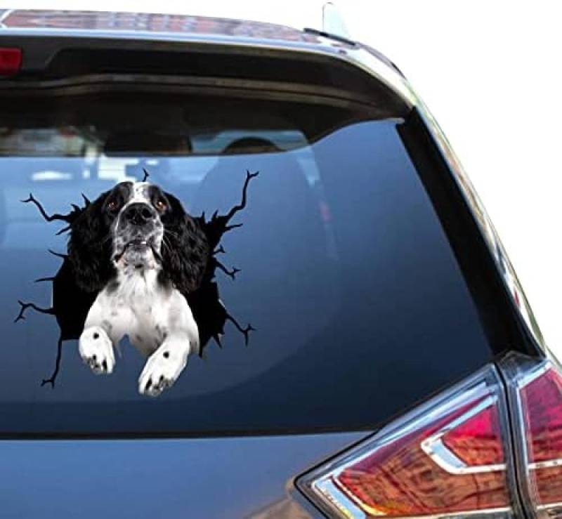 GENMIP Springer Spaniel-Fensteraufkleber, Englische Springer Spaniel-Aufkleber, Stoßstangenpackungen, Aufkleber Für Jugendliche, Vinal-Kühlschrankaufkleber von GENMIP