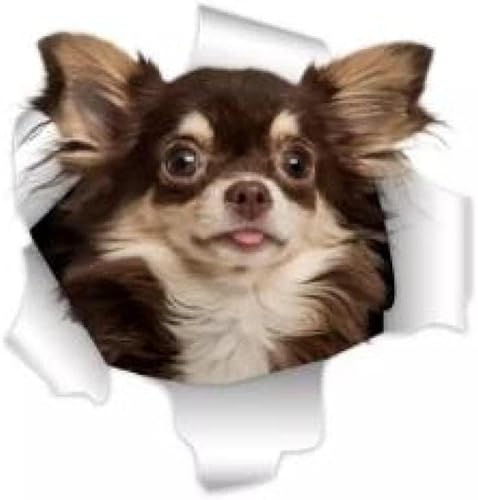 GENMIP and Decals 30 cm 3D-Chihuahua-Hundeaufkleber, Super-Aufkleber An Der Wand, Kühlschrank, Toilette, Auto, Fahrrad (2 Stück) von GENMIP