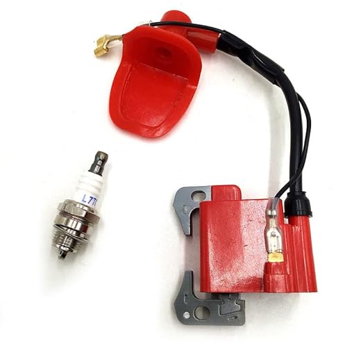 Aluminium-Seilzugstarter für 49-cc-Pocket-Bikes, ATVs, Quads und Rasenmähermotoren, kompatibel mit ähnlichen Modellen, natürliche Farbe(Ignition Coil) von GFJHFDCR