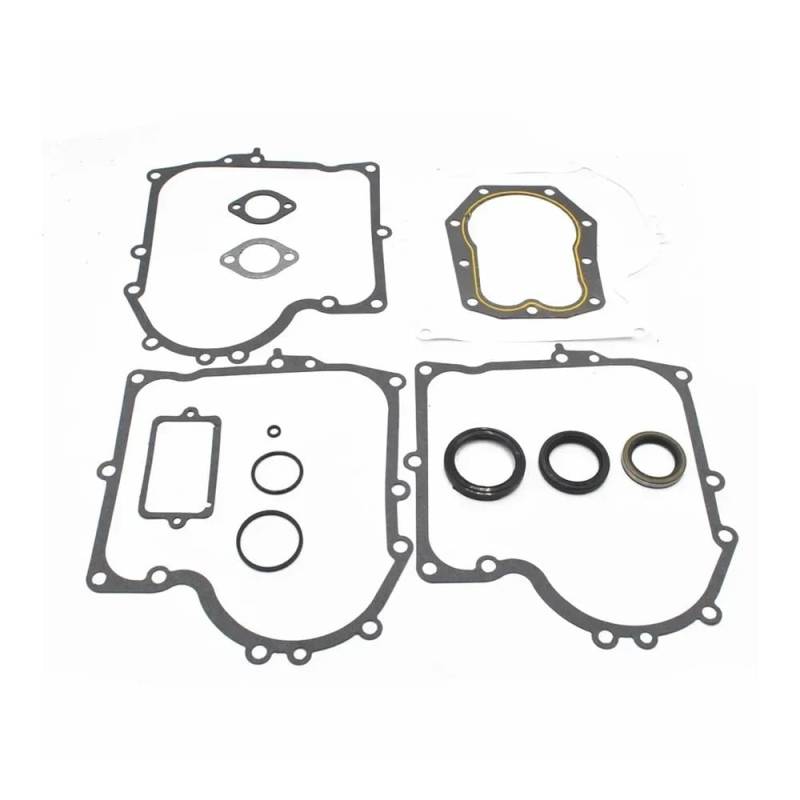 Dichtungssatz kompatibel mit den Teilenummern 490525 494241 und ähnlichen Modellen von GFJHFDCR