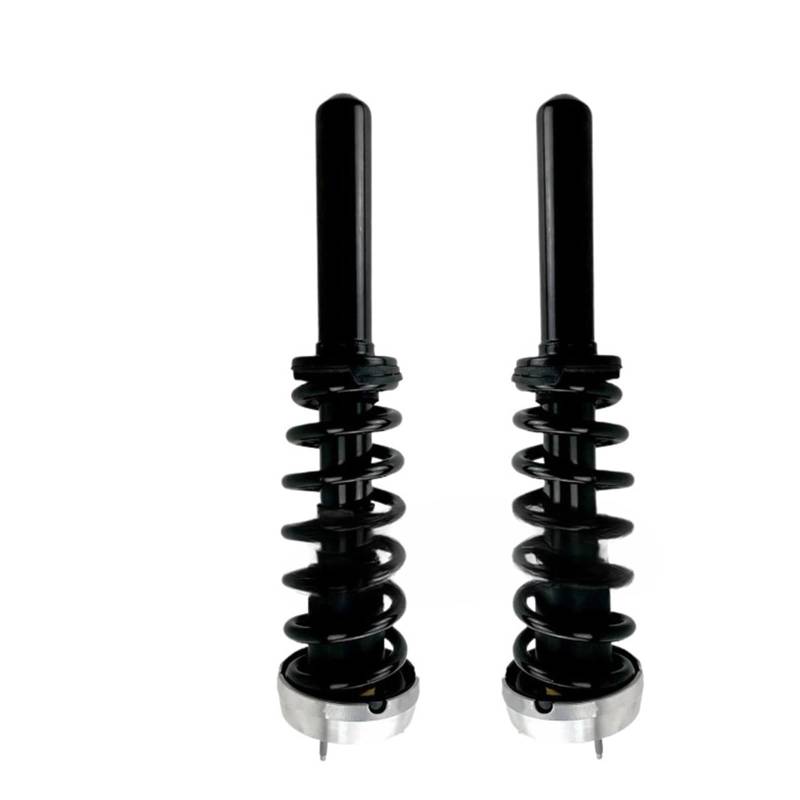 GHIUZ Vorne Links + Rechts Feder Stoßdämpfer Baugruppe Ogden 2PCS Kompatibel for BMW X5 von GHIUZ