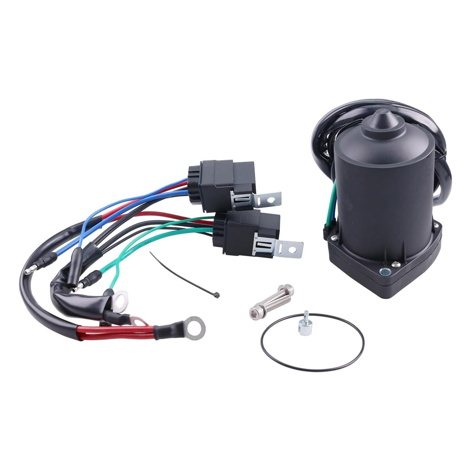 Power Tilt Trim Motor 2 Draht 2 Bolzen kompatibel mit Y-mh F300 F350 Außenborder 6AW-43880-01-00 6AW438800100 6AW438800200 6AW-4388 von GHJtRs