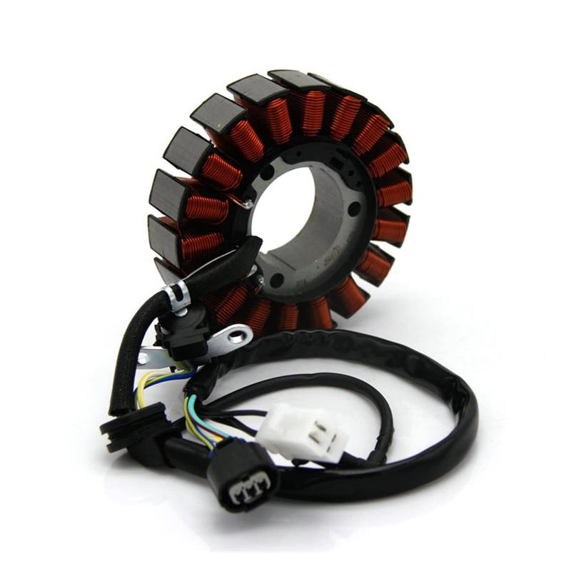 Magnetspule für Motorrad kompatibel mit CRF250 CRF250L 2013 2015 2016 2017 2018 2019 CRF250RL Rally 2017-2019 OEM: 31120-KZZ-901 von GHZMKCYPQ