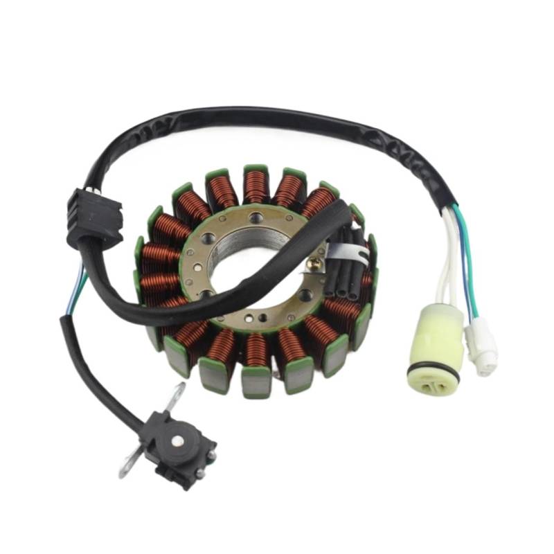 Motorcycle Magneto Stator Coil 1S3-81410-00 Compatible With Yamaha Raptor 700 YFM700R Raptor 700R YFM700RSP Raptor 700 Special Edition von GHZMKCYPQ