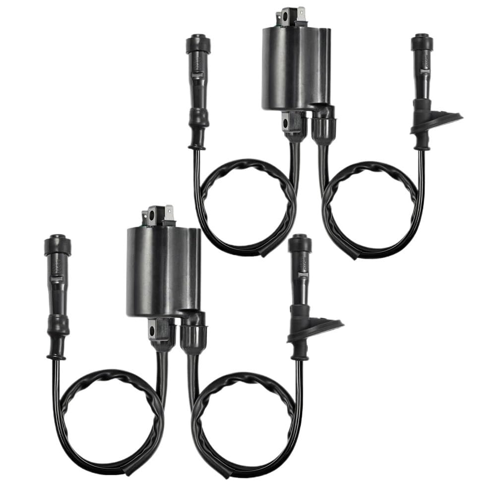 Zündspule und Zündkerzenstecker kompatibel mit VT750 1998–2019 750 Dual Set von GHqHQL