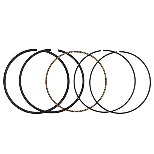 77 mm bis 78 mm Kolbenring-Set, kompatibel mit WR250F YZ250F WR YZ 250F 250F, geeignet für Motorradmotoren, Standard Plus 100 mm(1 Set 77.25MM) von GJXvMA