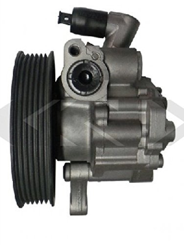 GKN 52614 at-servo MB Pumpe von GKN