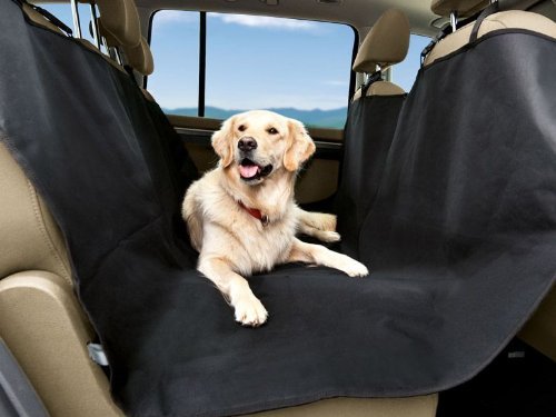 GMMH Rücksitzschutz für Hunde, Auto Hundedecke mit Reißverschluss, Schondecke, 140 cm x 130 cm, Rücksitzabdeckung für leichten Schmutz (Beige) von GMMH