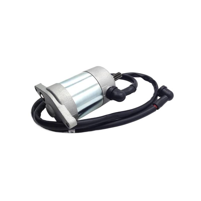 Anlasser Starter Relais Für DT230 Für Loncin Für MT250 Für Kayo KT250 HJ250H 2T Hub Motorrad Dirt Bike 250cc Motor Elektrische Starter Motor Magneto Anlasser E-Starter von GOINTDJD