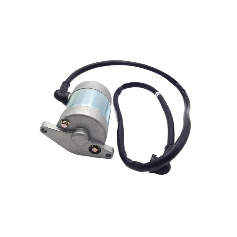 Anlasser Starter Relais Für DT230 Für Loncin MT250 Für Kayo KT250 HJ250H 2T Hub Motorrad Dirt Bike 250cc Motor Elektrische Starter Motor Magneto Anlasser E-Starter von GOINTDJD