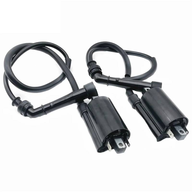 Motorrad Zündung Für Kawasaki EN500C Für Vulcan 500 Ltd 1996-2009 2Pcs Motorrad Leistung Teile 12V Zündspule Zünden System Einheit Zündschalter Mit Schlüsseln von GOINTDJD