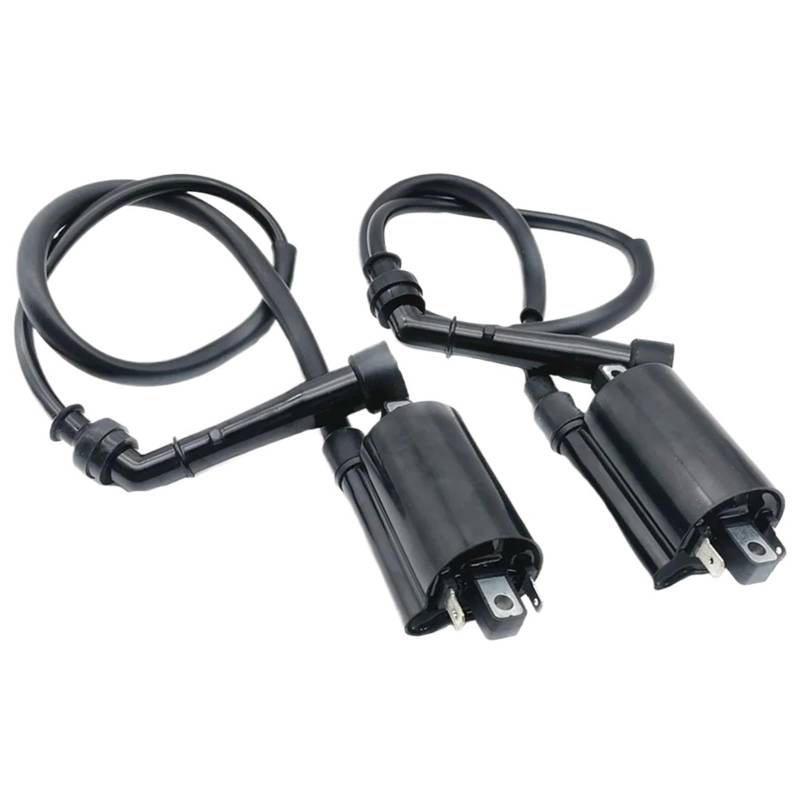 Motorrad Zündung Für Kawasaki Für EN500C Für Vulcan 500 Ltd 1996-2009 2Pcs Motorrad Leistung Teile 12V Zündspule Zünden System Zündschalter Mit Schlüsseln von GOINTDJD