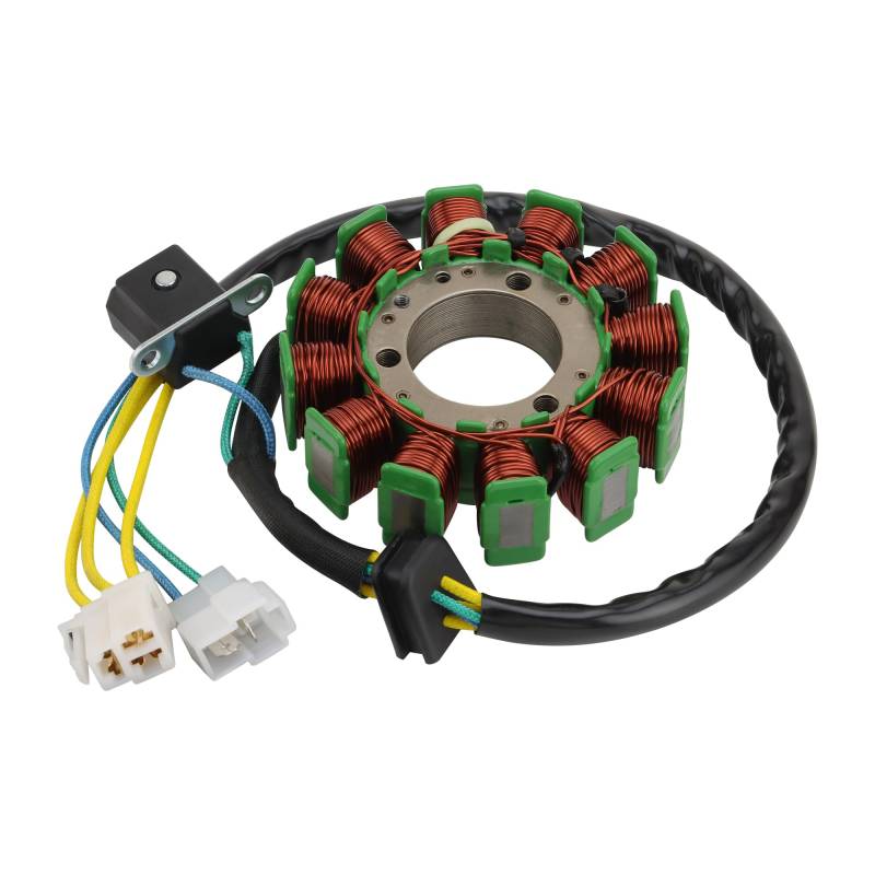 GOOFIT 12 Pole Zündung Magneto Stator Ersatz für GT250 GV250 2002-2010 von GOOFIT