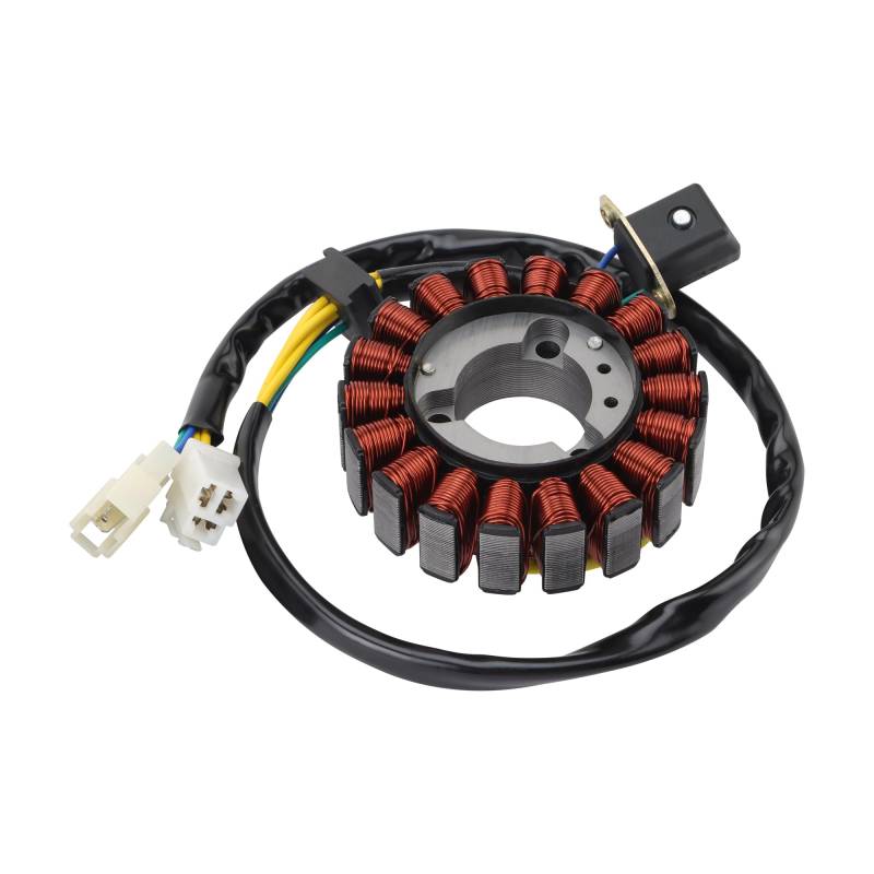 GOOFIT 18 Pole Zündung Magneto Stator Ersatz für GT250 GV250 GTR2509 2009-2018 von GOOFIT