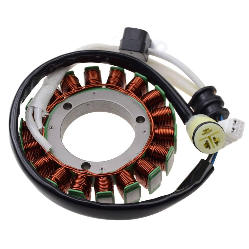 GOOFIT 18 Pole Zündung Magneto Stator Ersatz für HS700 von GOOFIT