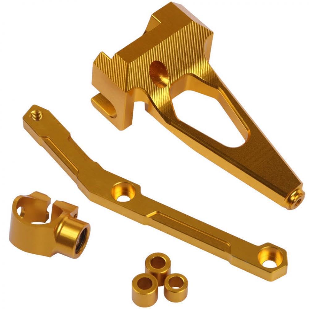 Motorradlenker -Stabilisator -Dämpferhalterungsmontage kompatibel mit MT09 FJ09 FZ09 2013 bis 2019(Gold) von GRzHKN