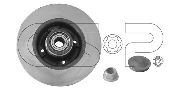 Bremsscheibe Hinterachse GSP 9225019K von GSP