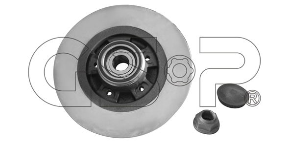 Bremsscheibe Hinterachse GSP 9230144K von GSP