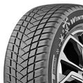 Champiro Winterpro 2 EVO M+S von GT Radial