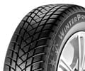 Champiro Winterpro 2 XL von GT Radial