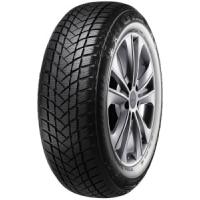 WinterPro2 von GT Radial