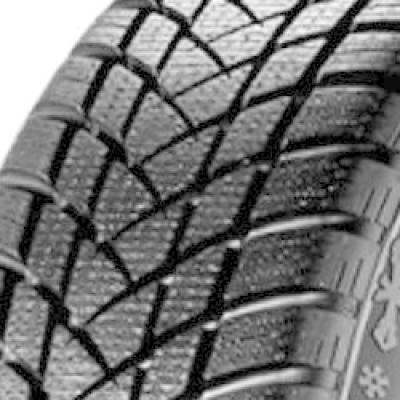 WinterPro2 von GT Radial