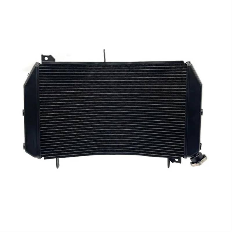 Radiator Guard Für Y&amaha Für MT-10 R1 2015-2022 Motorrad Zubehör Kühler Schutz Kühlergrill Abdeckung Schutz von GUICFRF